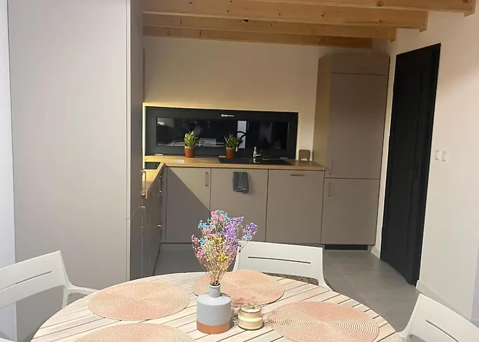 Sloneczny Zakatek 2025 * Nidek